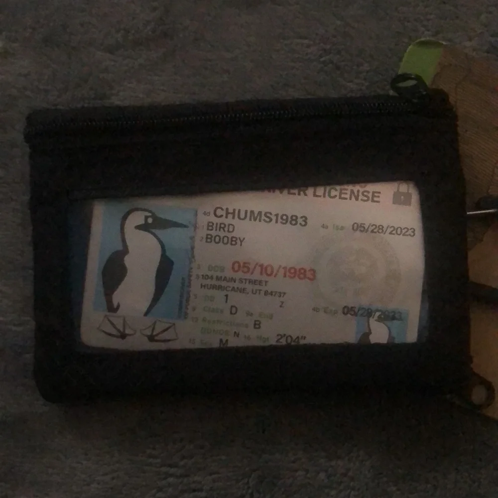 Chums Black and Blue License Holder - Picture 4 of 5
